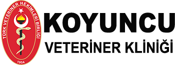 Şafak Veteriner